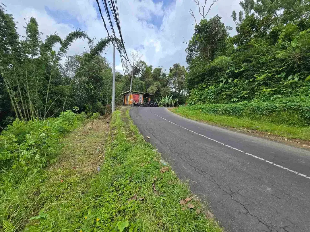 dijual tanah view exotik gunung dan terasering di baturiti bali - Image 7 of 10