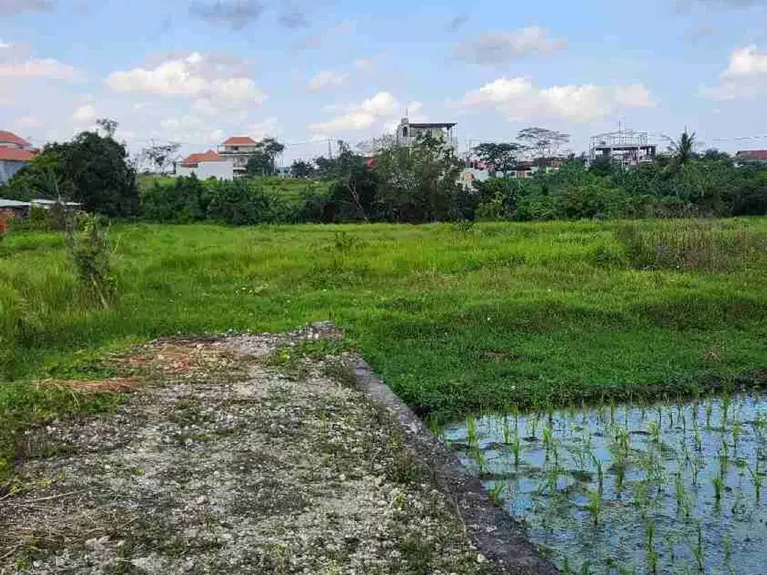 Tanah Murah Dekat Pantai Seseh dengan View Sawah - Image 4 of 7
