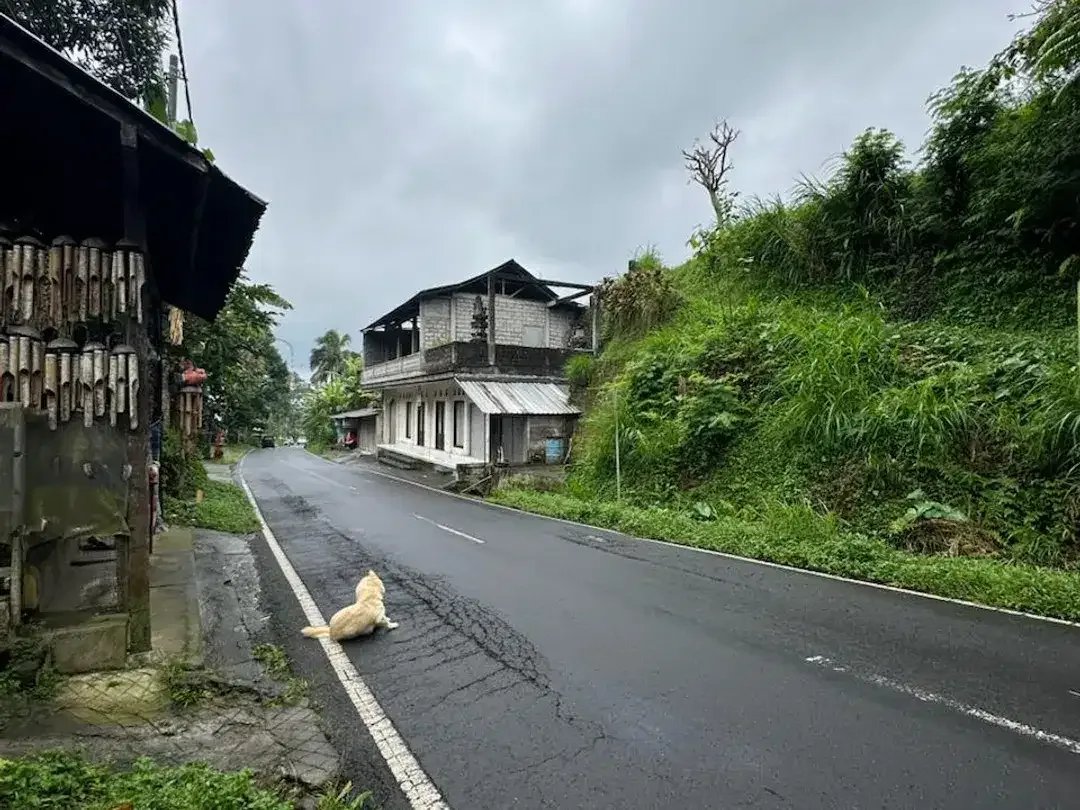 DIJUAL – Tanah Premium di Tegalalang dengan View Sawah & Pegunungan - Image 9 of 10