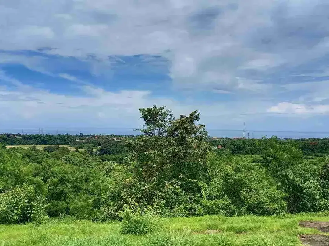 9350 M2 FREEHOLD LAND FOR SALE IN PANGKUNG PARUK SERIRIT BULELENG NORTH BALI - Image 3 of 10