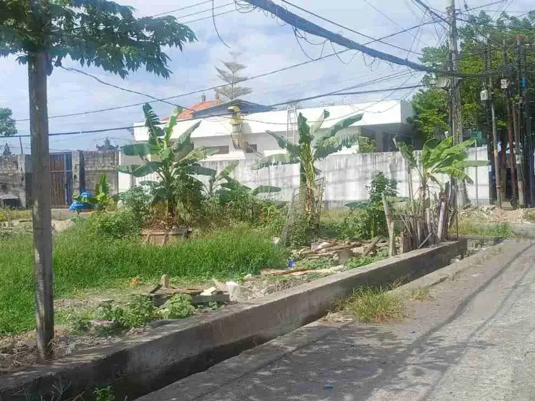 disewakan tanah 2,95are di jl utama Tukad Badung renon - Image 2 of 4