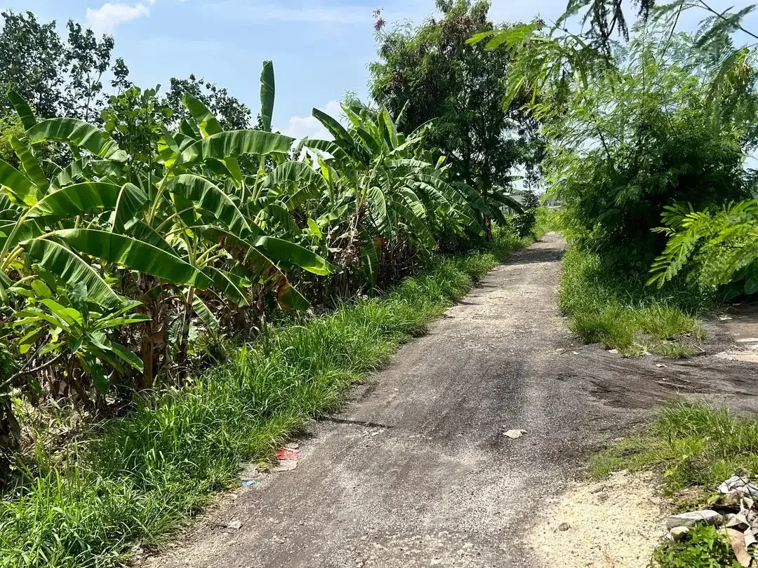 Freehold - Prime Land for Sale in Berawa, Canggu,Bali-Ideal for Villas - Image 3 of 8