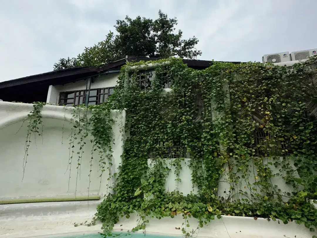 Leasehold - Stylish 8-Unit Villa Complex - Top Investment in Canggu, Bali - Image 2 of 10