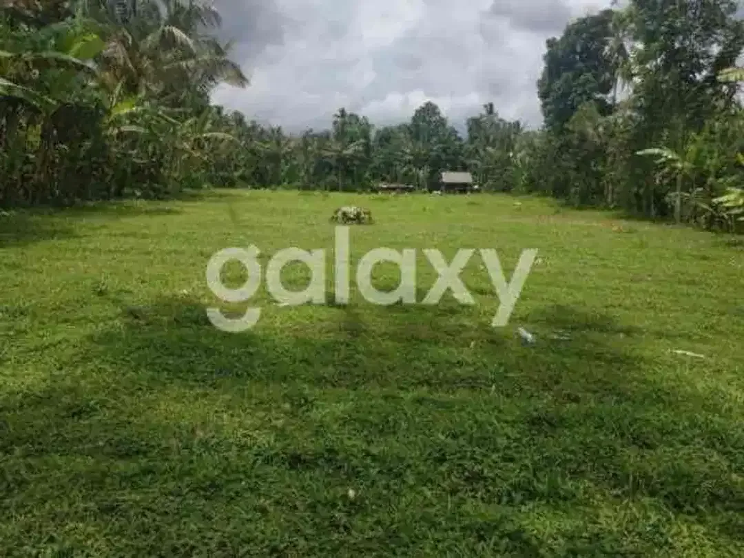 DIJUAL TANAH DAERAH PETANG BADUNG BALI - Image 2 of 9