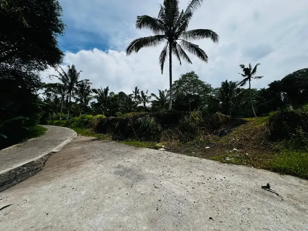 Tanah los sungai payangan ubud - Image 6 of 9