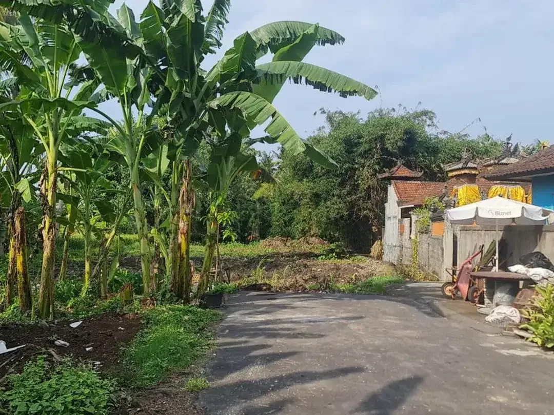 Freehold - Startegic and in By Pass Tanah Lot - Image 1 of 8