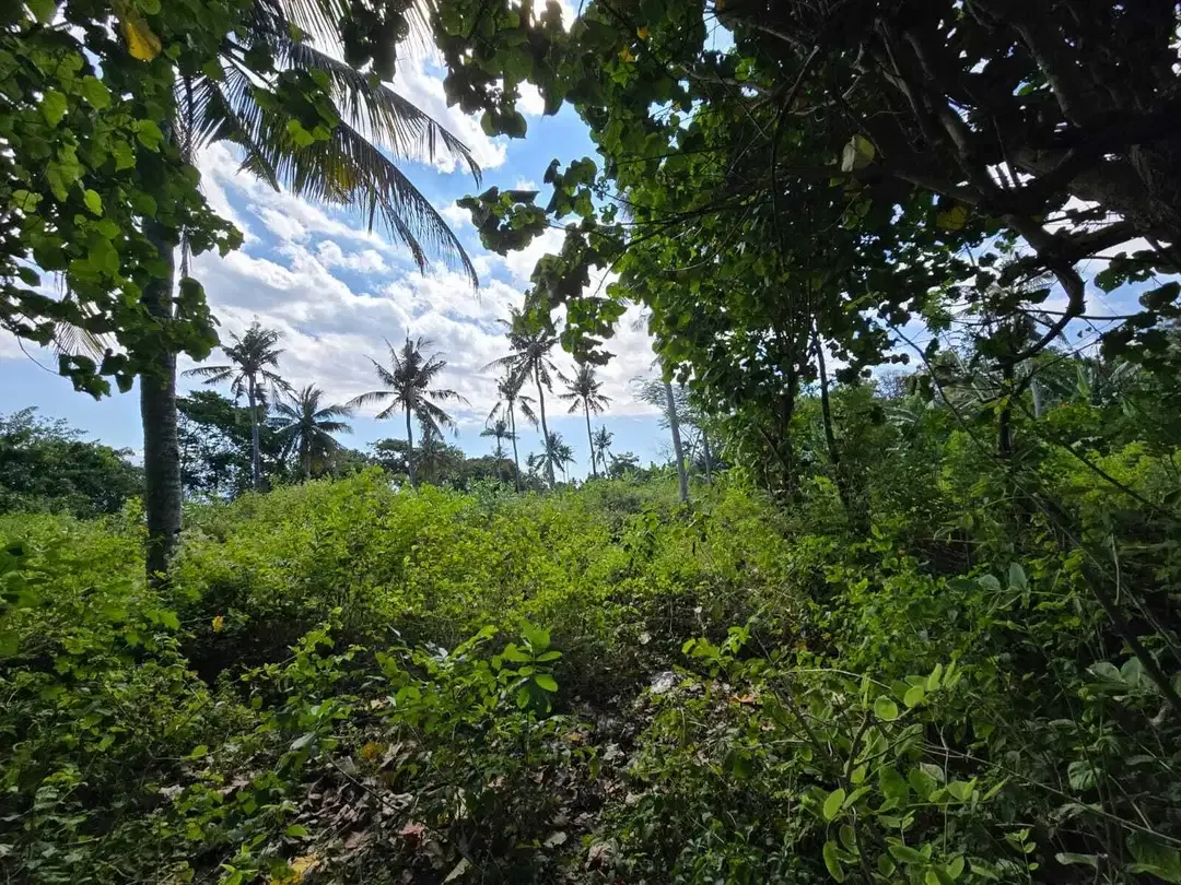 Dijual tanah kecil los pantai di bali - Image 7 of 10