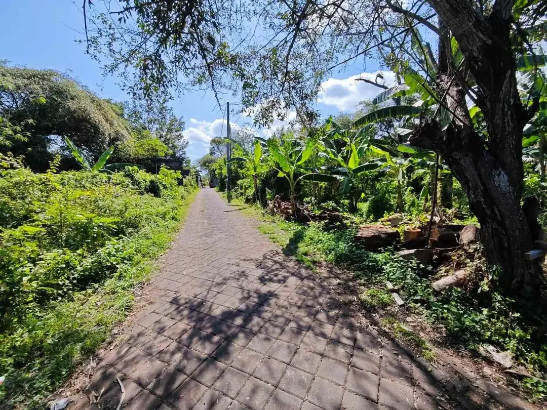 Tanah Lingkungan Villa Jl Gedong Sari Nusa Dua - Image 5 of 10