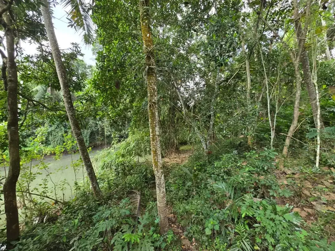 Dijual tanah los sungai view sawah di bali - Image 2 of 10