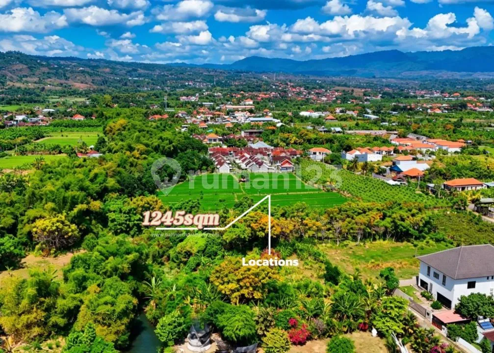 Premium Freehold Land For Sale In Lovina North Bali - Image 4 of 4