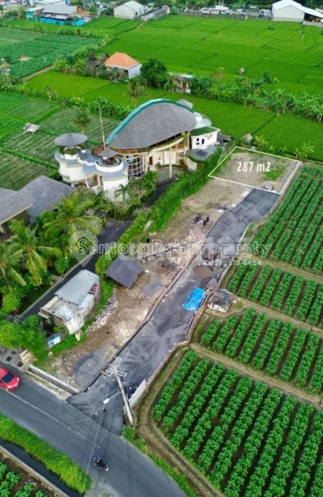 Tanah di Pantai Purnama 287m2 - Sukawati Gianyar Bali - Image 4 of 4