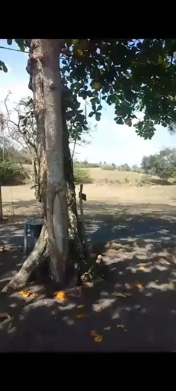 6000 m2 land for sale in pantai klecung Tabanan BALI - Image 8 of 8