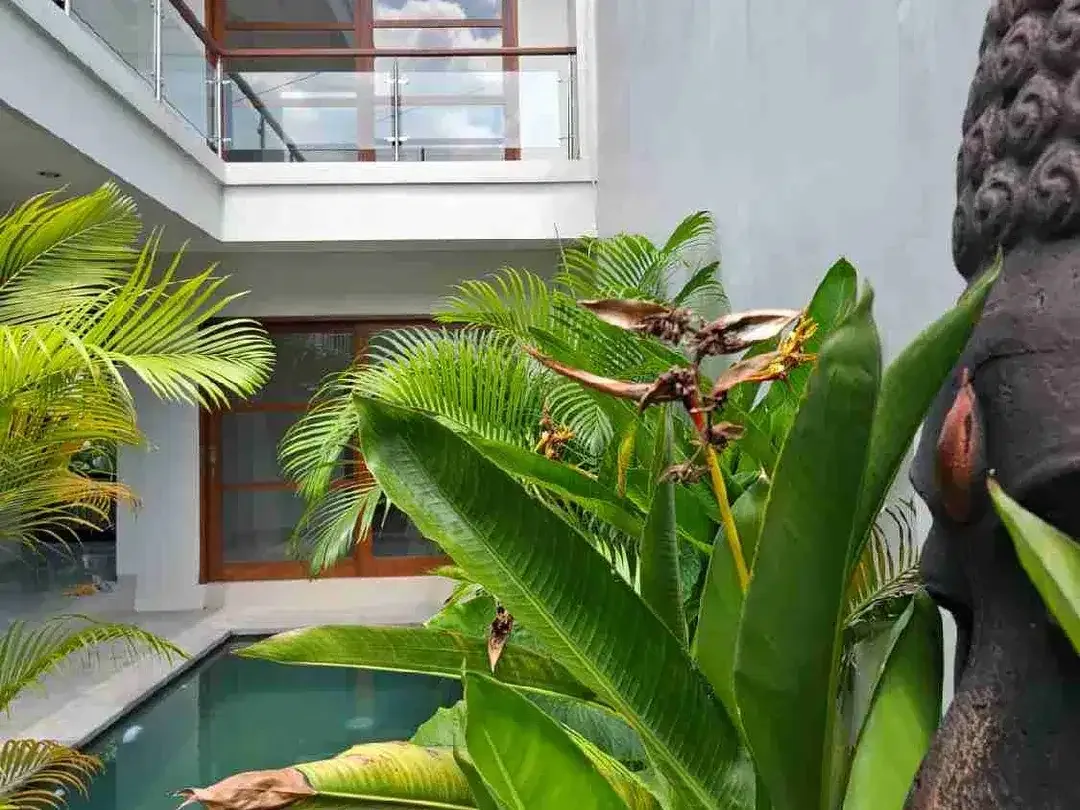 Sale Villa Baru Gress 150M2 Elit Dalung Jl5mtr Dkt Canggu, Kerobokan - Image 4 of 8