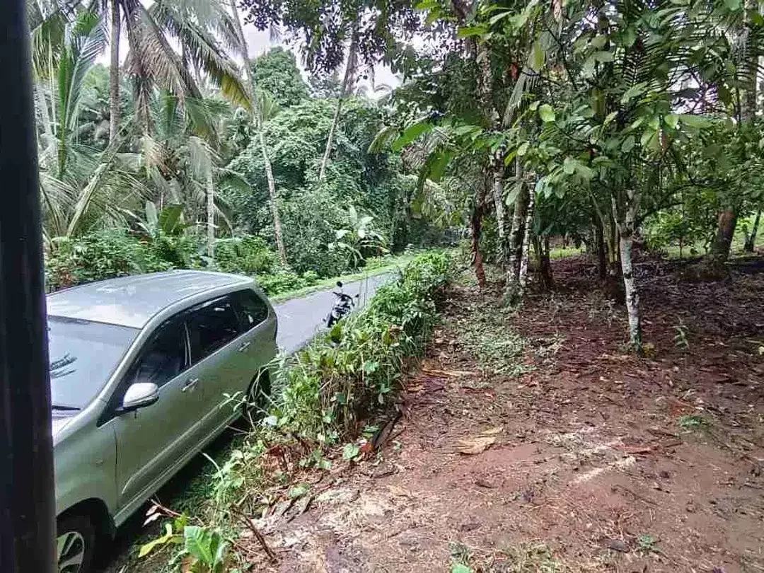 jual tanah kebun di tabanan bali - Image 7 of 10