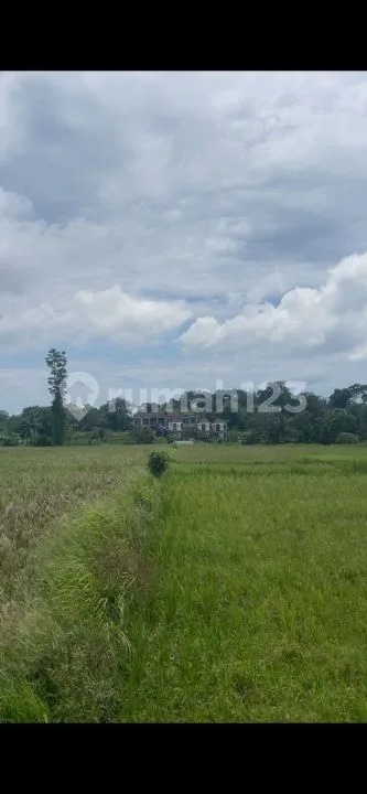 Tanah di Jalan Pantai Kedungu, Desa Belalang Tabanan 2236 SHM MÂ² - Image 3 of 4