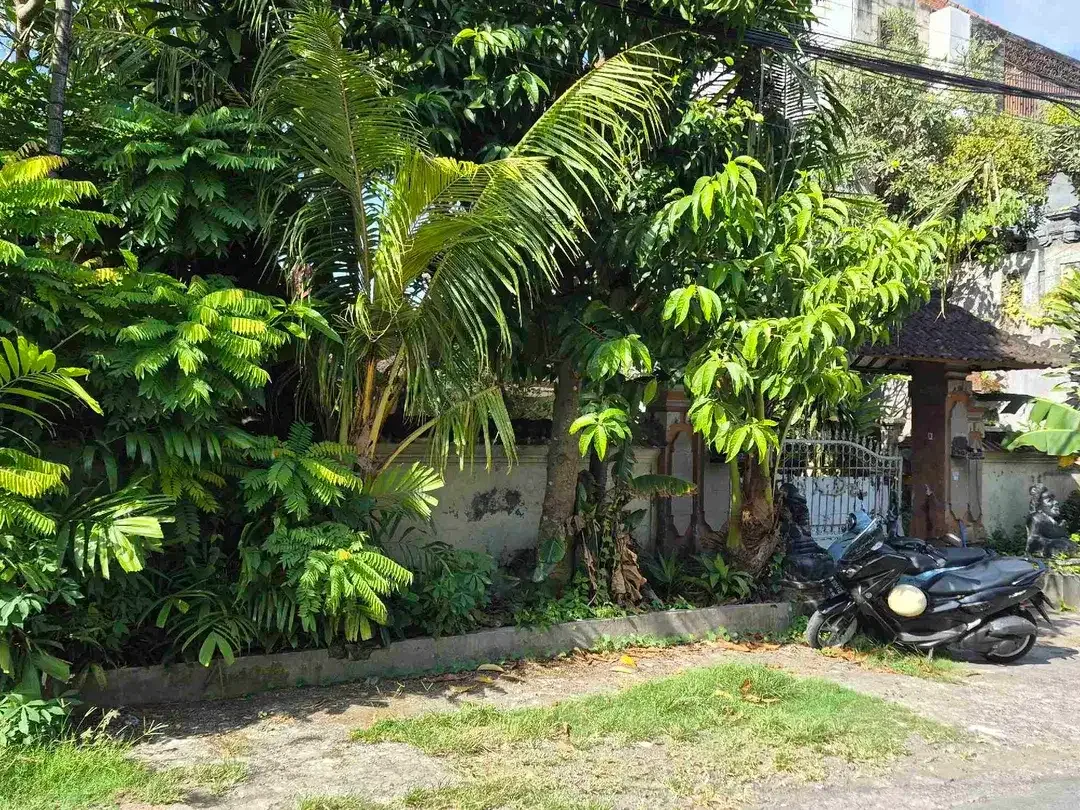 Tanah Murah Dikawasan Elite Renon Jalan Moh Yamin Dekat Ciung Wanara Pemuda - Image 5 of 8