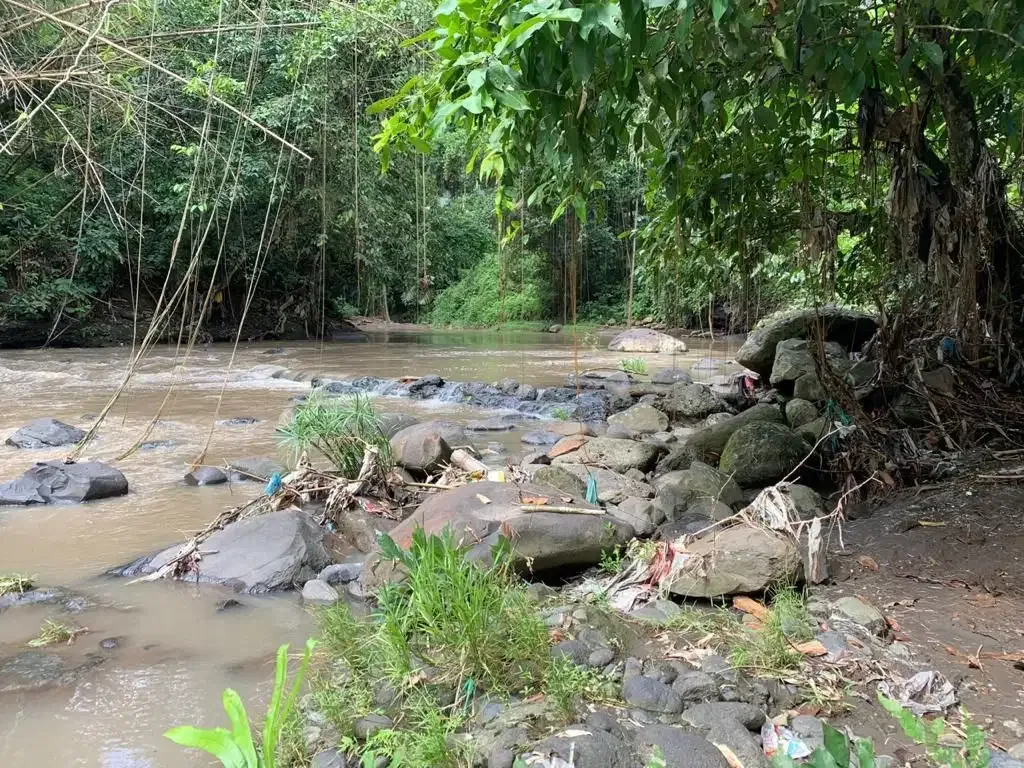 TANAH LOS SUNGAI COCOK UNTUK VILLA LOKASI BUWIT TABANAN - Image 7 of 10