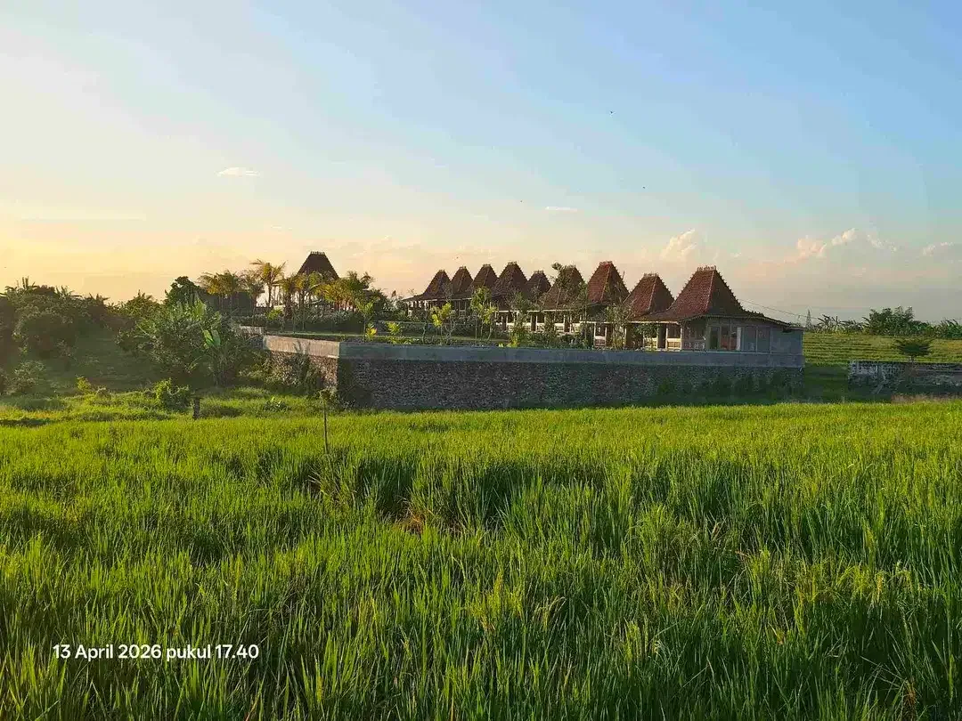 Tanah View Sawah Gunung dan Laut dekat Pasut dan Kelating Bali - Image 1 of 6