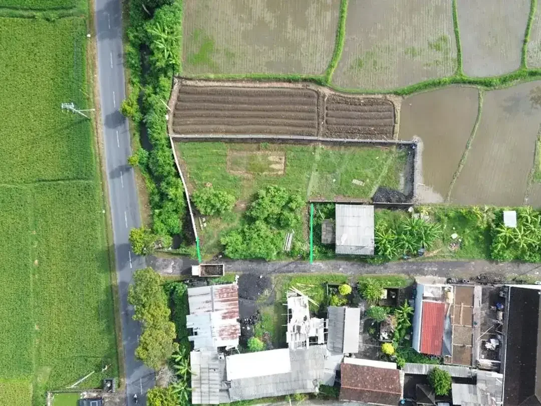 LAND WITH RICEFIELD VIEW IN GIANYAR - Image 5 of 5