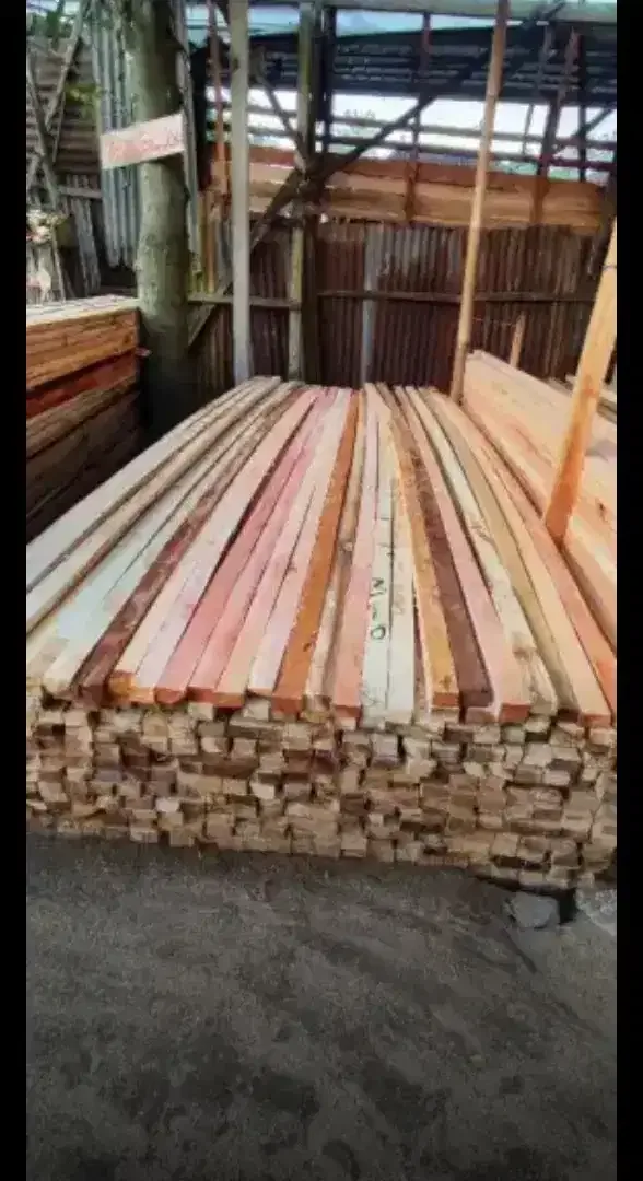 Dijual Kayu Lokal bali - Image 2 of 4