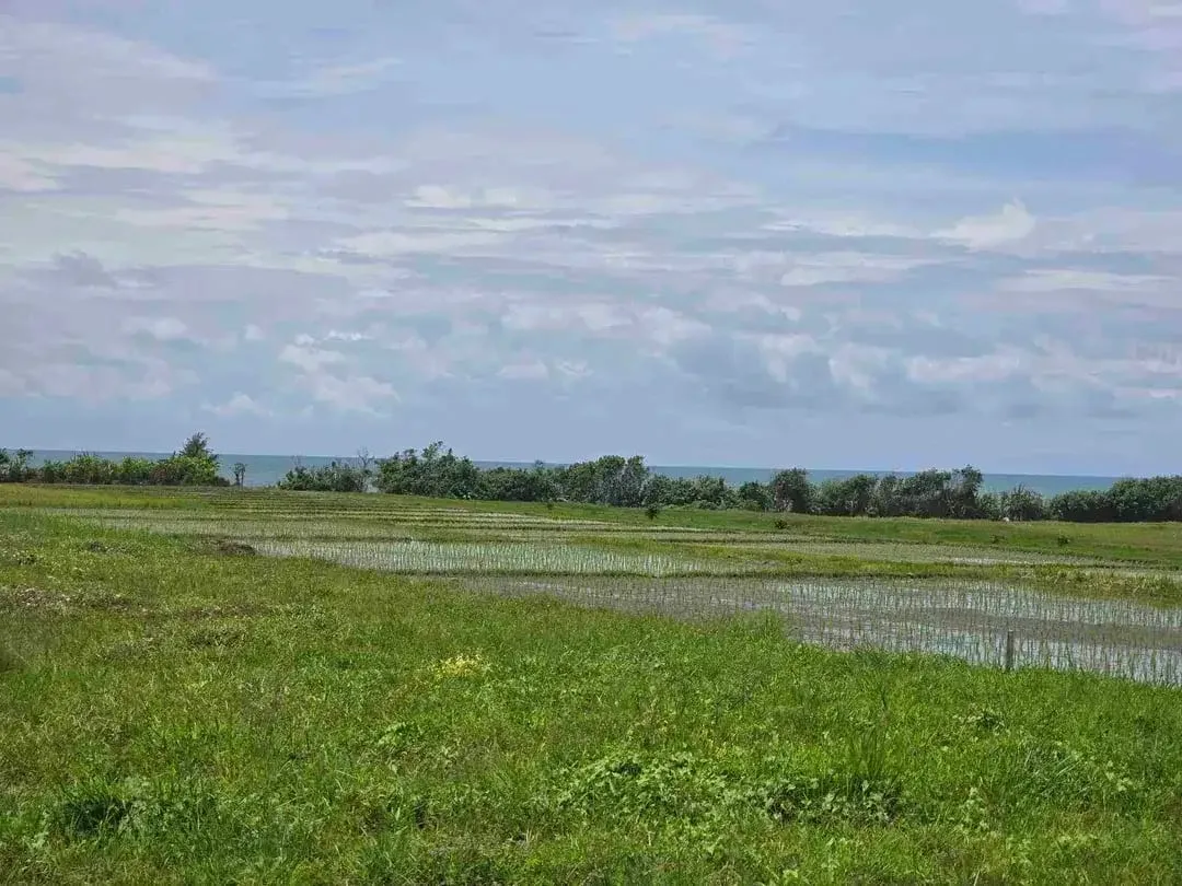 dijual tanah kecil view laut sawah di pantai pasut tabanan bali - Image 4 of 10