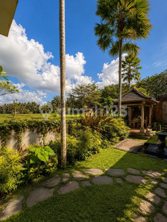 Dijual Villa Murah Diubud View Loss Sawah & Jungle - Image 2 of 4