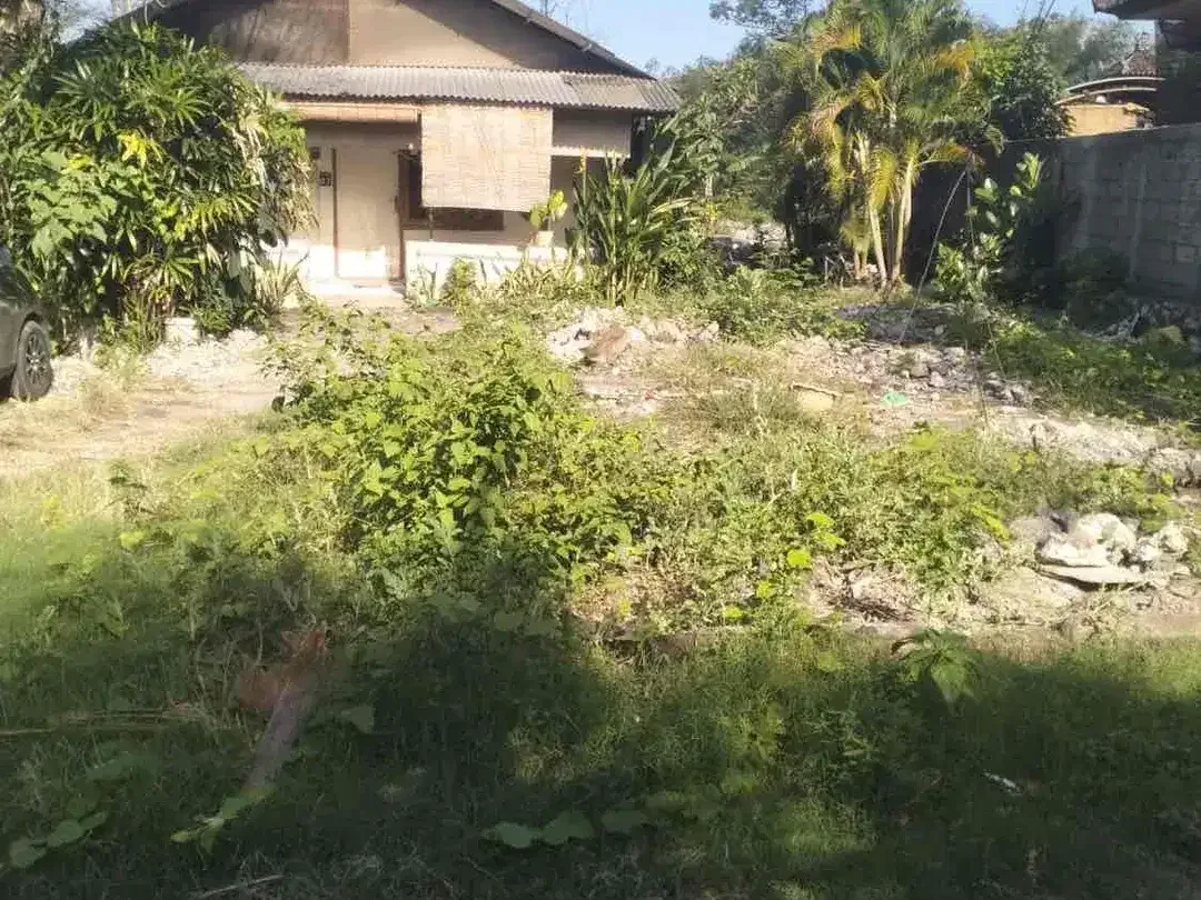 Dijual Tanah Nusa dua 
Dkt tol Bali Mandara
Dkt baipas Ngurah Rai - Image 1 of 5