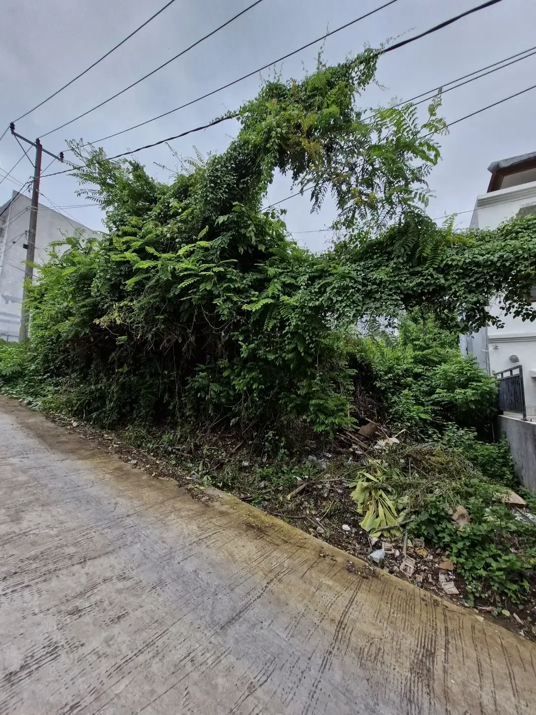 DIJUAL TANAH KAVLING AREA KOMPLEKS VILLA DI JIMBARAN - Image 2 of 6