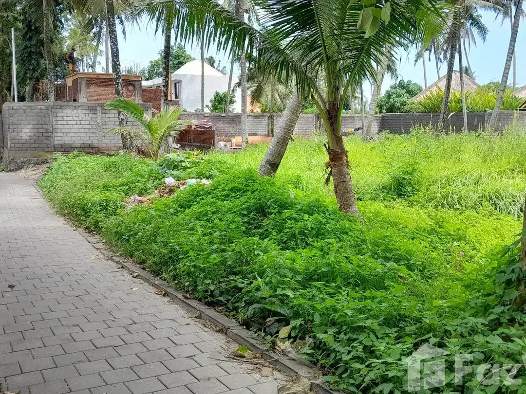 Land for sale in Ubud, Bali - Image 5 of 7