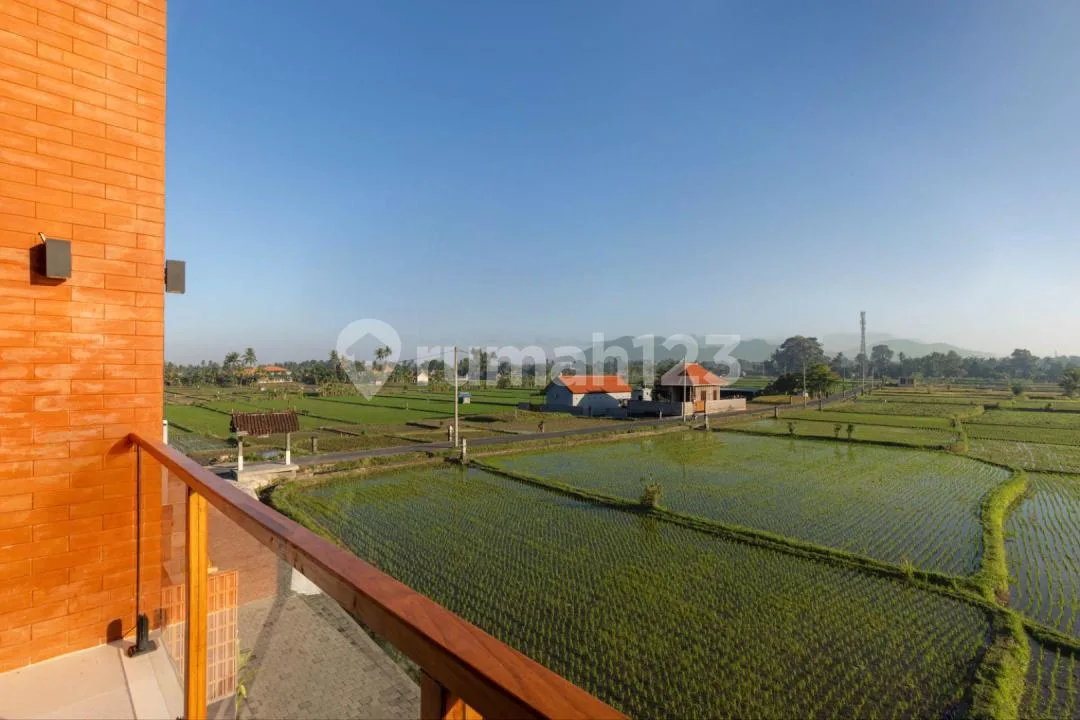 Price Reduced - 2 Luxury Villas In Ubud - Image 3 of 4