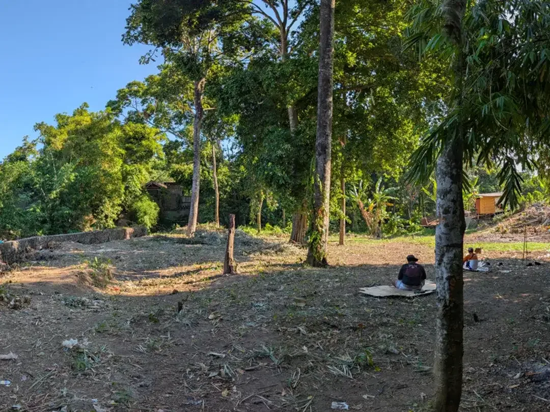 Leasehold - Riverside Land with Mature Trees & Ready Infrastructure in Canggu, Bali - Image 5 of 10