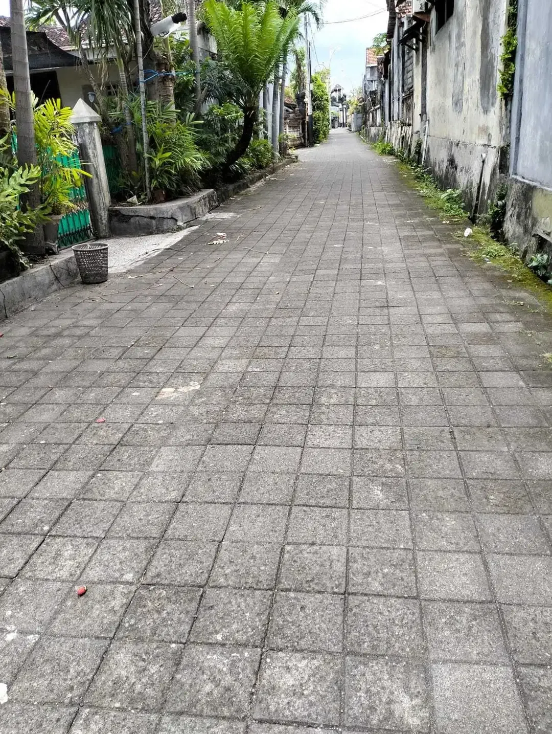 Tanah Isi Bangunan Di Hayam Wuruk Dkt Kampus Warmadewa Renon Sanur - Image 2 of 4