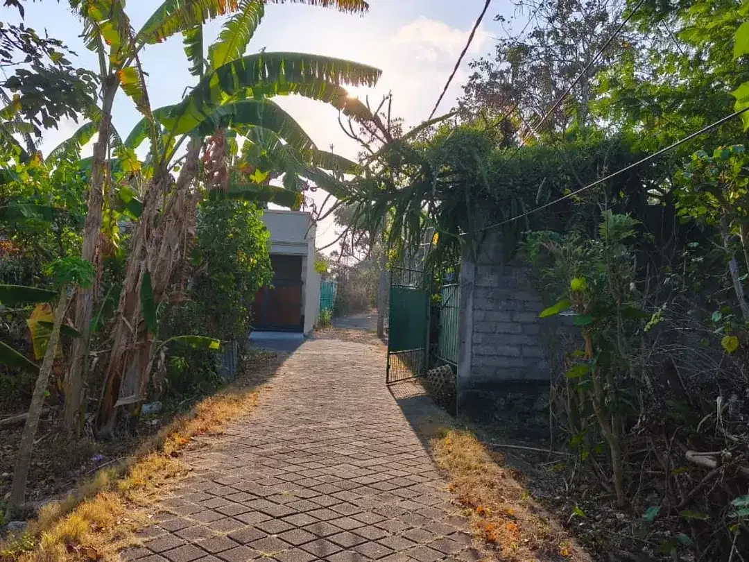 Tanah Jual Jl. Gedong Sari II, Benoa  Lokasi dekat ke Jl. Tol, Pantai Nusa Dua, dan Pantai Jimbaran. - Image 5 of 10