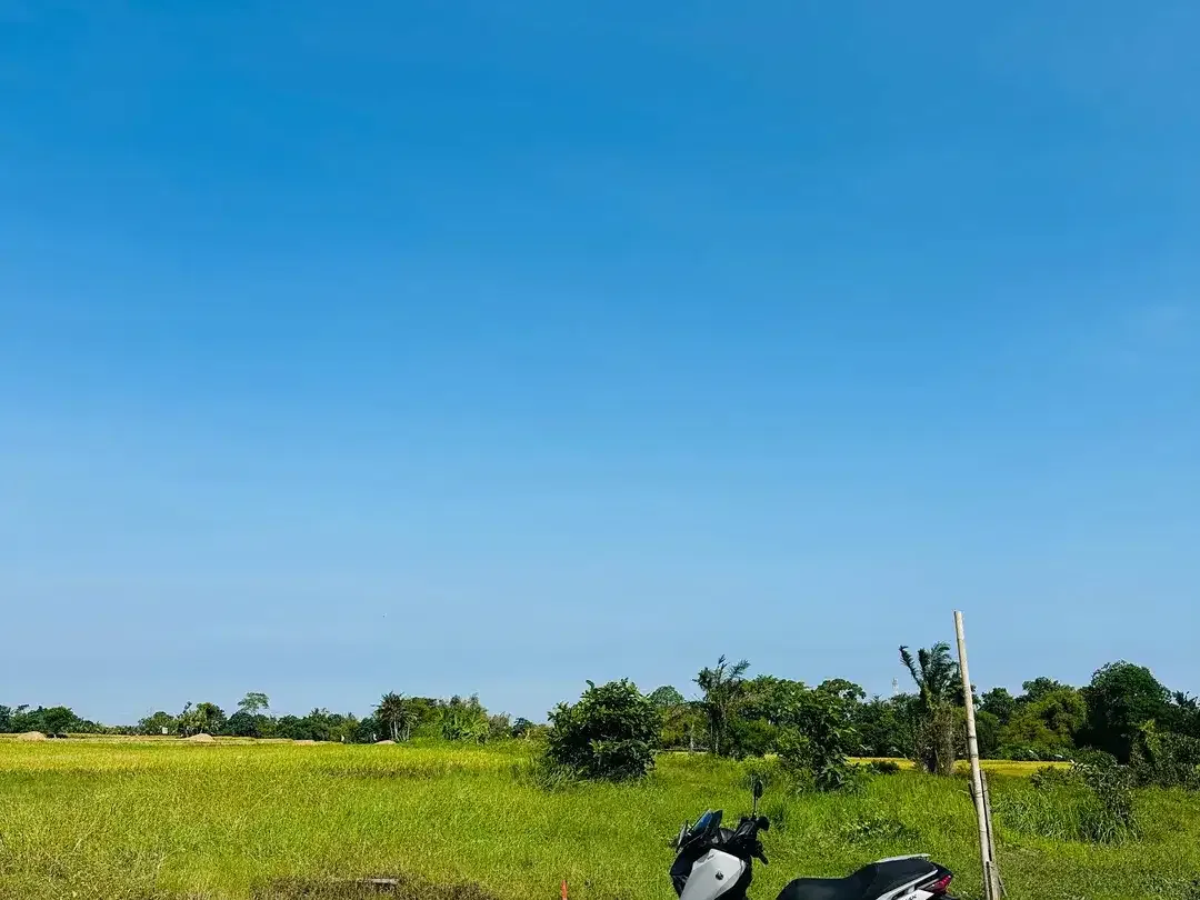 TANAH PERERENAN CANGGU KEDUNGU SIAP BANGUN VILLA - Image 6 of 10