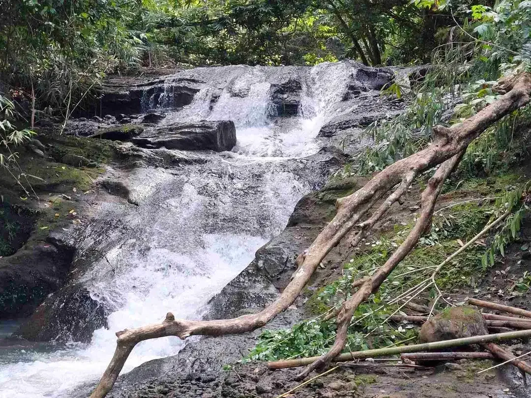 tanah strategis berisi air terjun yang sangat unik di tabanan harga murah - Image 6 of 10