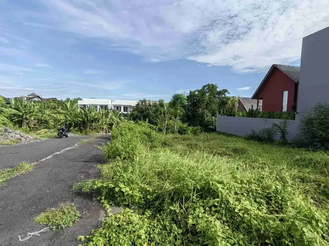 Tanah Premium Jl Ambengan Shortcut Canggu - Image 6 of 10