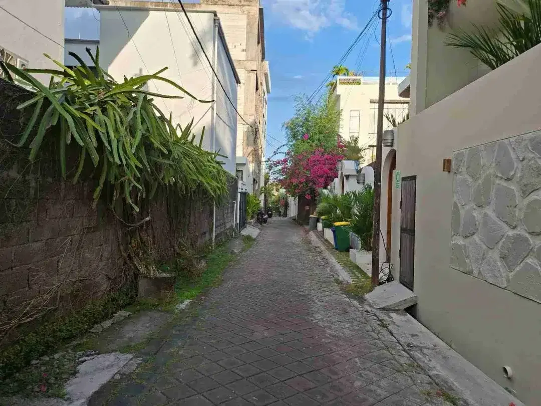 Jual Tanah Luas 1.8are/180m² Lokasi Premium Gang, Jalak Berawa Canggu area Investasi.yt - Image 6 of 6