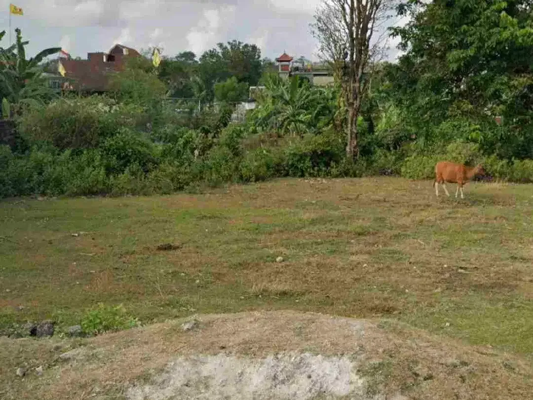 dijual tanah 5,65 are  IDR 400 JT per are diperumahan giri Puspa dekat bypass jimbaran - Image 6 of 7