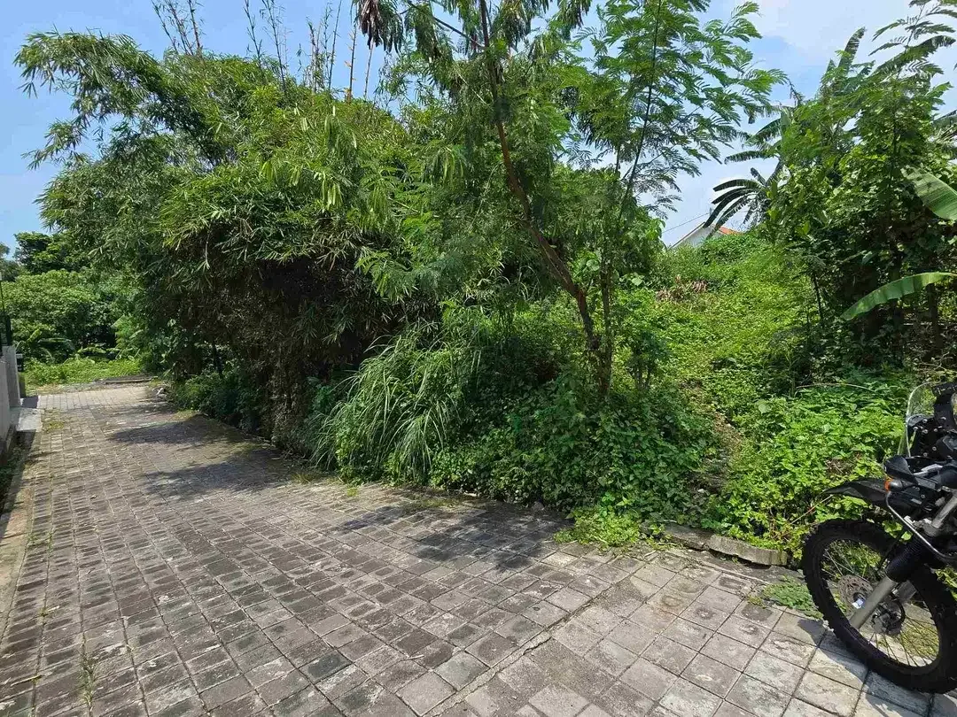DIJUAL TANAH CANGGU PADANGLINJONG - Image 2 of 9
