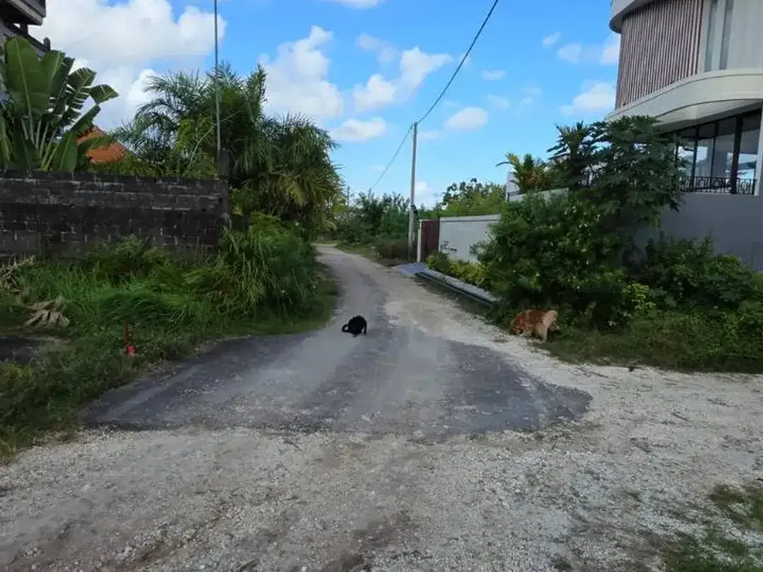 Tanah Dijual di Area Tenang Ungasan – Cocok untuk Vila Pribadi atau Investasi - Image 3 of 5