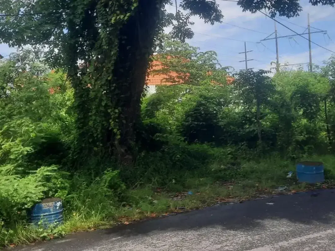 Di Jual Tanah 4 Are - Lokasi Muding Indah, Kerobokan - Badung, Bali - Image 3 of 3