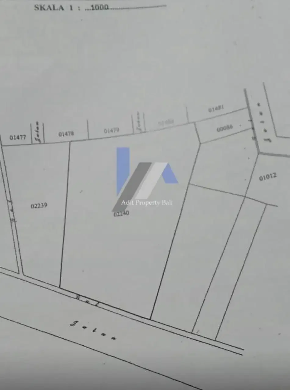 Tanah Premium teuku Umar barat Kerobokan - Image 10 of 10