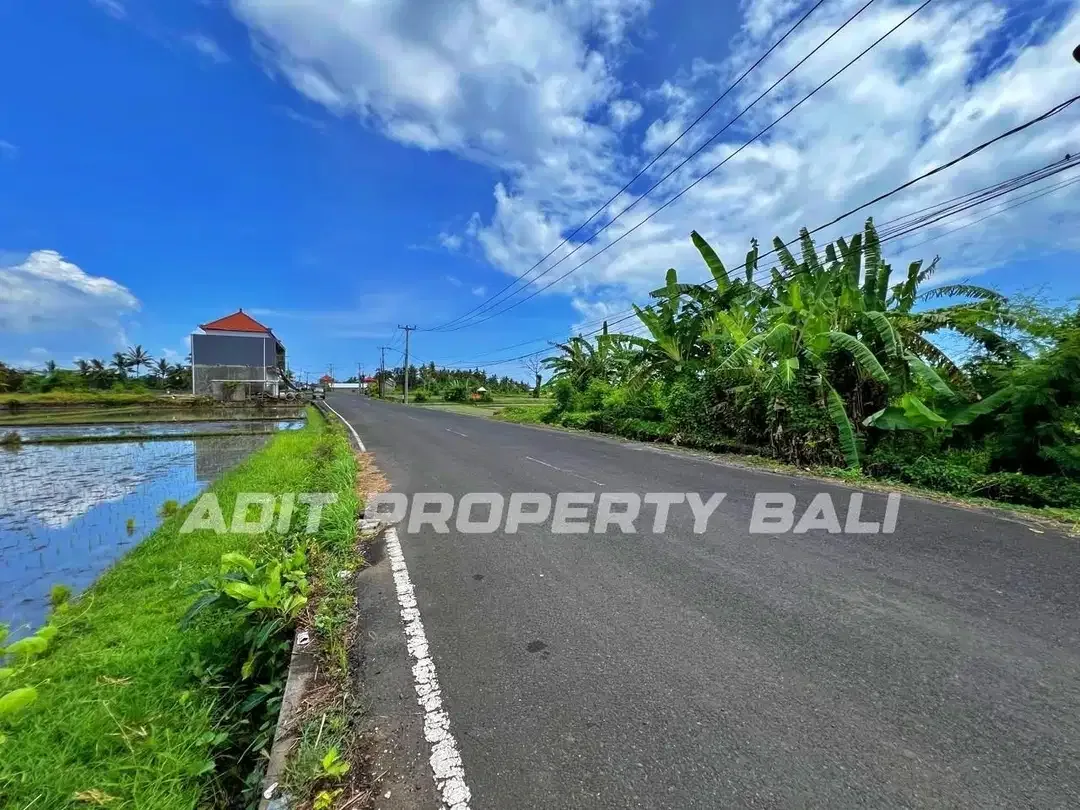 Tanah pangkung tibah kediri tabanan - Image 5 of 10