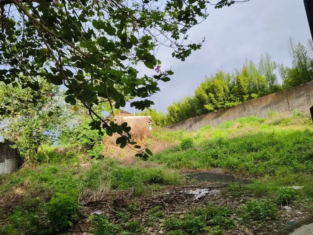 tanah kavling di jalan utama taman mumbul nusa dua,harga murah,dkt tol - Image 3 of 10