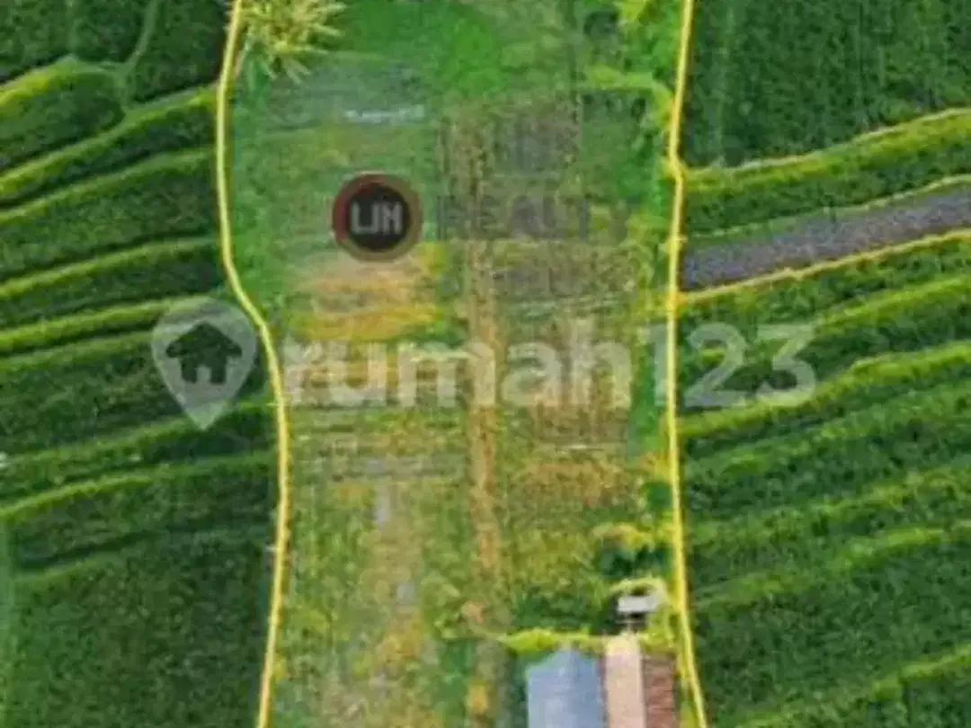 Dijual Tanah Munggu Badung Bali Dekat Pantai Munggu - Image 2 of 5