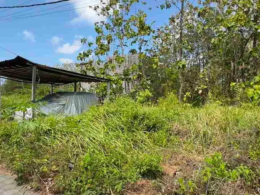 Dijual Murah Tanah 125m2 Di Jimbaran Bali - Image 3 of 6
