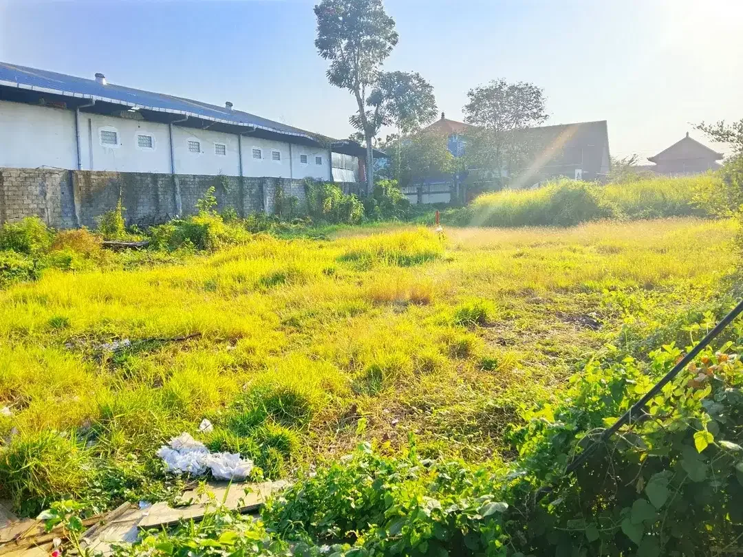 Tanah Premium 15,2 Are SHM Dijual di Gunung Catur, Denpasar Barat - Image 6 of 6