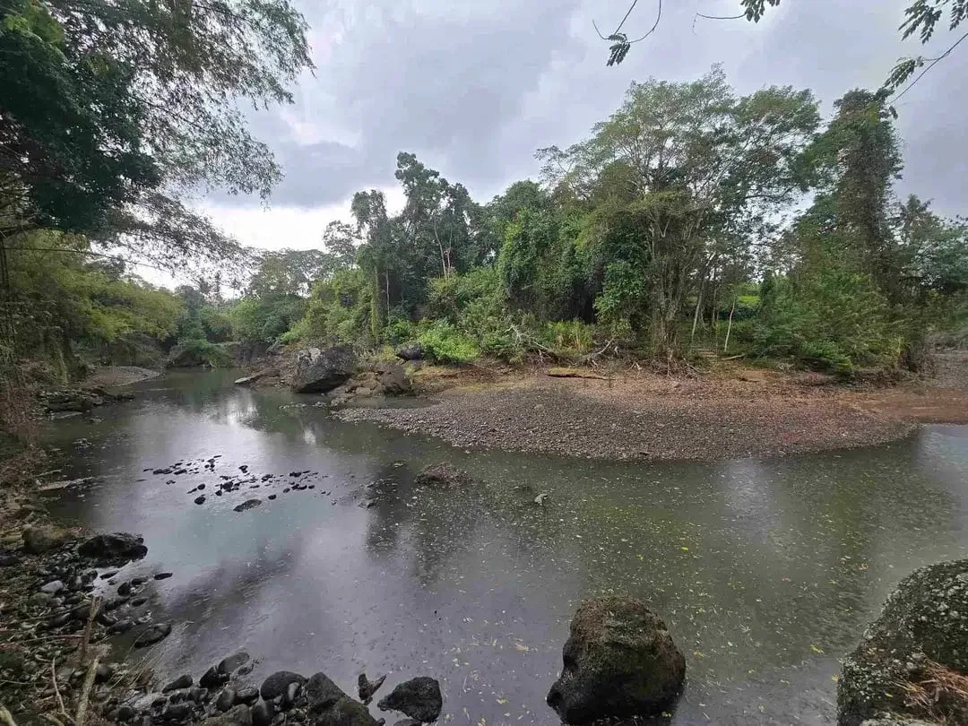Dijuat tanah datar los sungai bebatuan di tabanan bali - Image 2 of 10