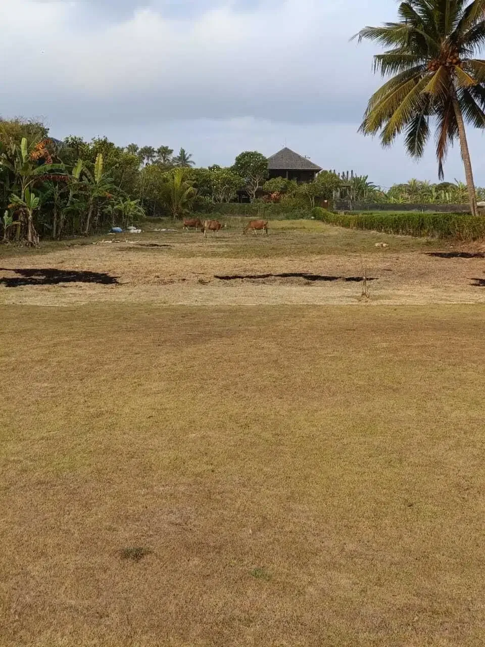Dijual Tanah di Daerah Pantai Pasut Tabanan - Image 3 of 4