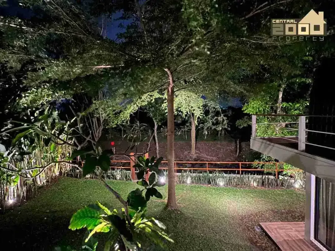High-Value Investment Land in Pererenan – Green Belt View, Freehold - Image 7 of 7